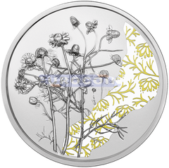 Австрия 10 евро 2023 Ромашка PROOF